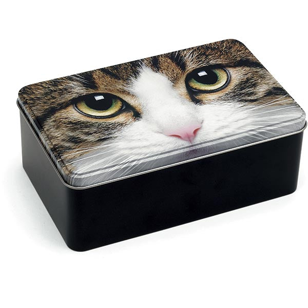 Catseye Tabby Cat Storage Tin