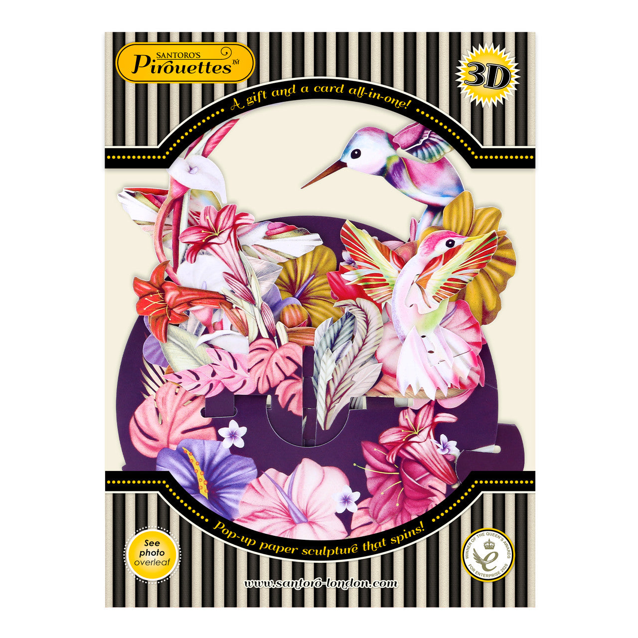 Pirouettes Humming Birds (Blush) Swing Card by Santoro